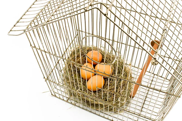Ovos em ninho confinados em gaiola de pássaro — Fotografia de Stock