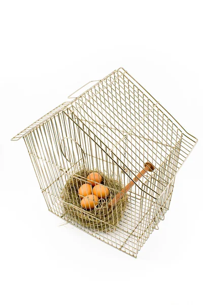 Ovos Ninho Confinados Gaiola Pássaro Isolado Branco — Fotografia de Stock