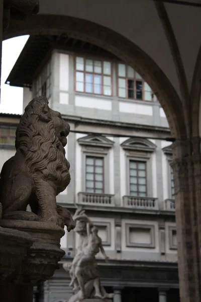 León de Florencia —  Fotos de Stock