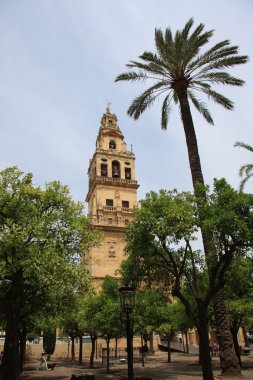 cordoba Katedrali Camii