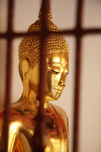 Bouddha emprisonné — Stockfoto