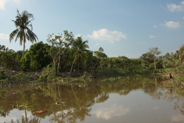 Mekong