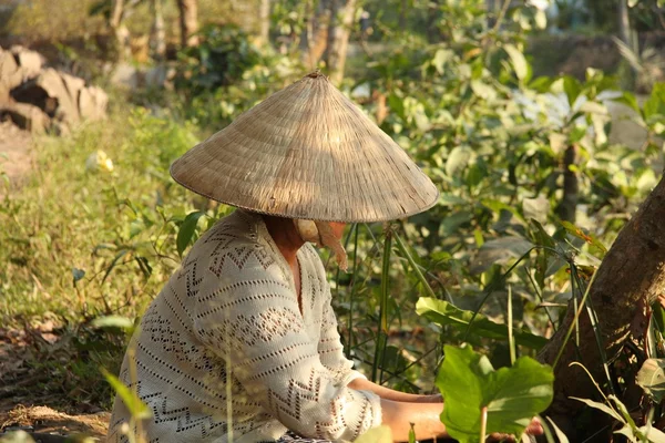 stock image Woman of Mekong