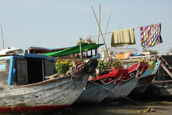 stock image Mekong