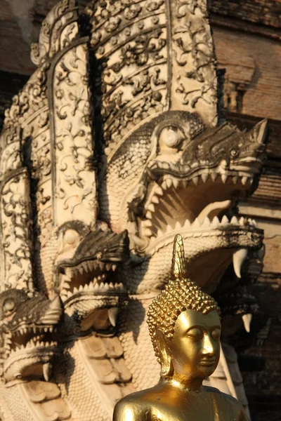 Buddha und die Drachen — Stockfoto