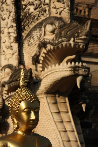 Buddha v Thajsku — Stock fotografie