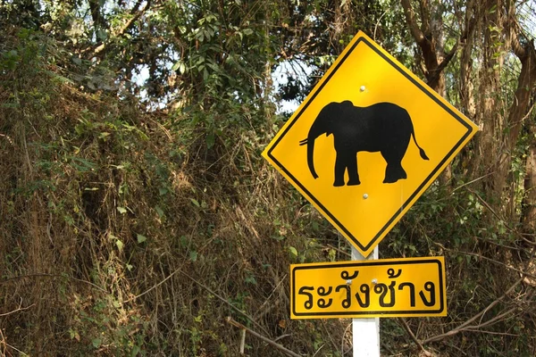 Atenção, elefantes. — Fotografia de Stock