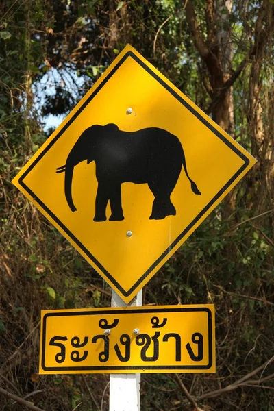 Attention éléphants — Stockfoto