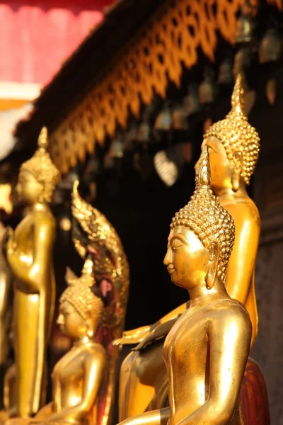 Bouddhas — Fotografia de Stock