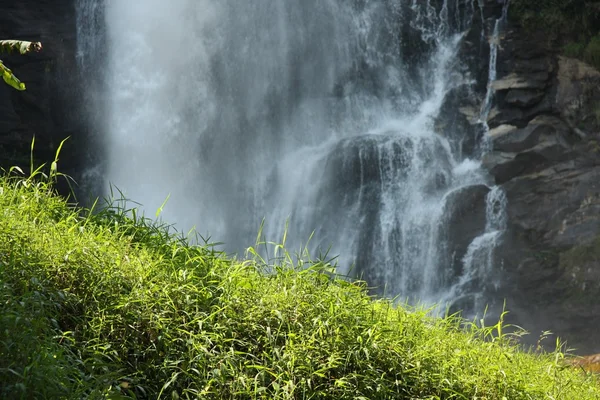 stock image Jardin d'Eden