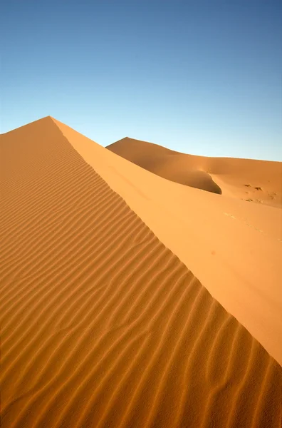 Salida del sol del desierto Imagen de archivo