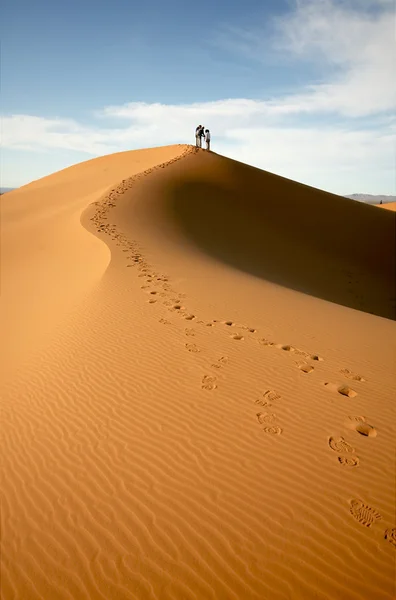 独自在沙漠中 图库图片
