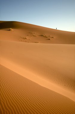 at the dunes of the Moroccan Sahara clipart