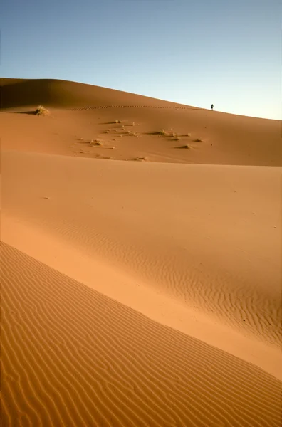 在摩洛哥撒哈拉沙漠的沙丘 — 图库照片
