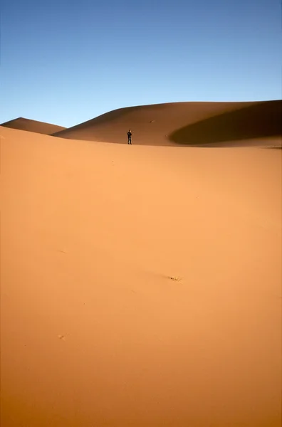 Egyedül a sivatagban — Stock Fotó