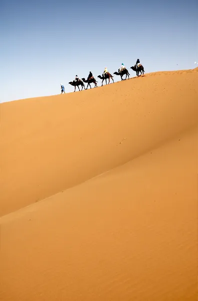Sivatagban karaván — Stock Fotó