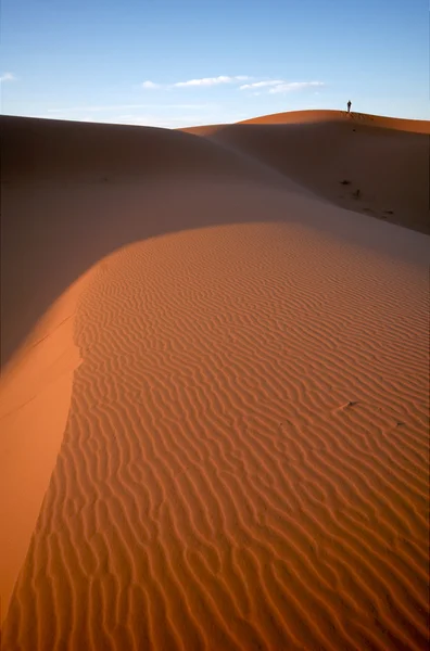 Las Dunas Del Sahara Marroquí —  Fotos de Stock