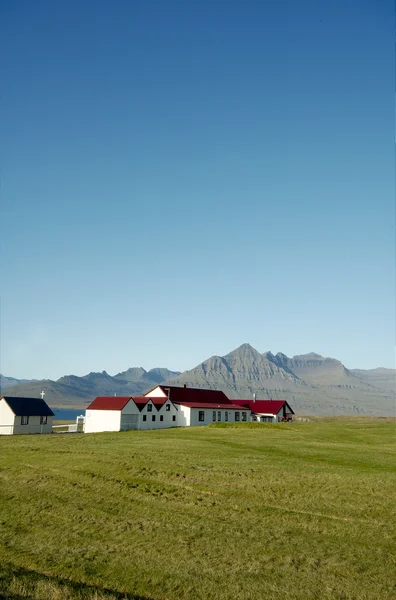 Исландская ферма — стоковое фото