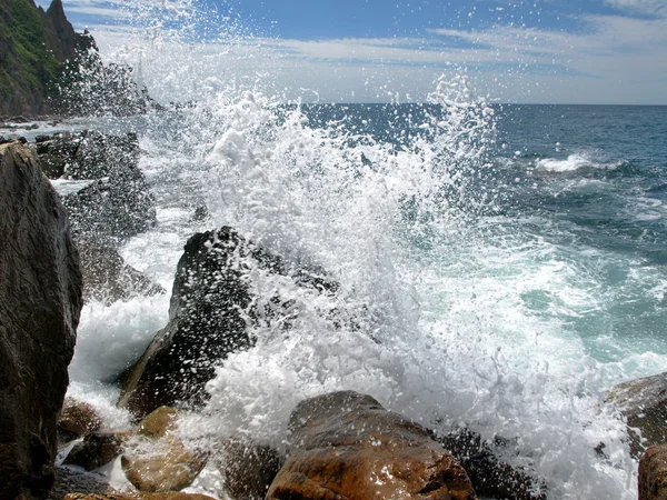 Die Meereswelle Bricht Über Steine Hinweg Stockfoto