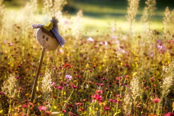 Приближающийся Скаркроу
