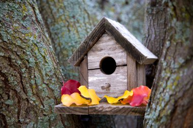 A cozy birdhouse in a tree in the fall with colorful leaves. clipart