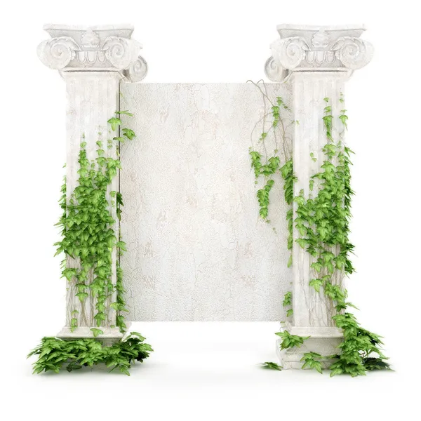 Vertikale antike Werbetafel mit Efeu bedeckt — Stockfoto