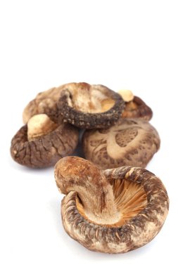 Focus one dried mushroom and other isolated on white background clipart