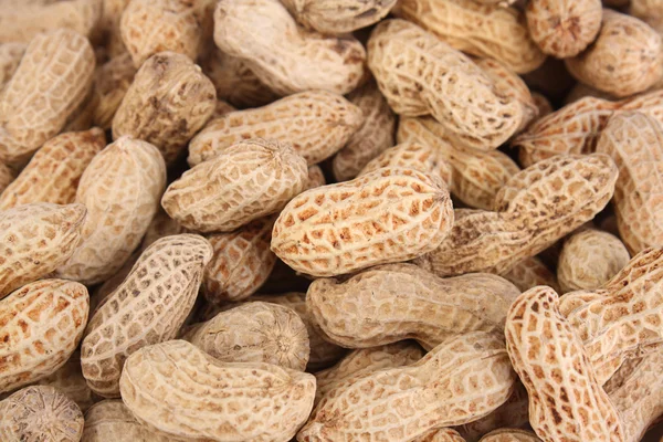 Shooting Peanut Whole Background Stock Picture