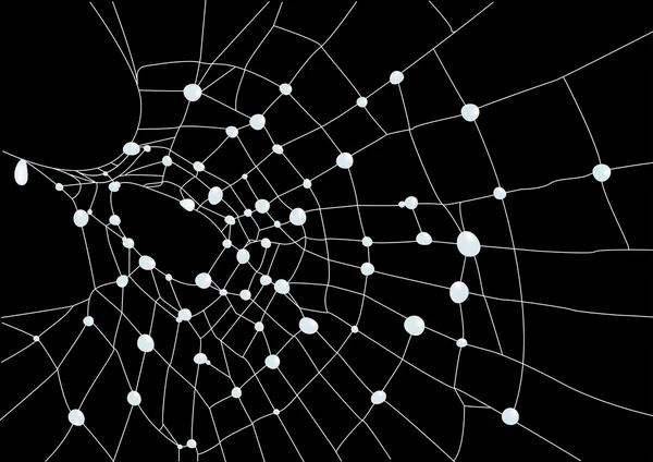 Spindelnät Med Vatten Droppar Vektor Illustration — Stock vektor