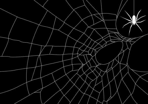 Telaraña con araña — Archivo Imágenes Vectoriales