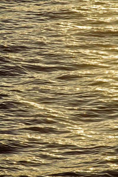 Moře čisté zlato — Stock fotografie