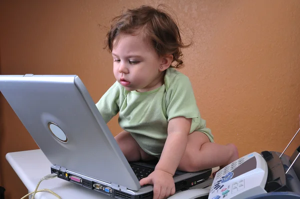 Ребенок усердно работает на ноутбуке — стоковое фото