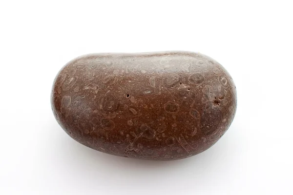 Морской Камень Серого Цвета Белом Фоне — стоковое фото