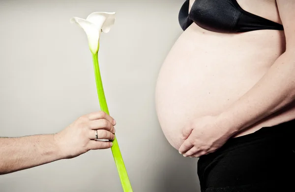 Man Geeft Calla Lelie Zijn Zwangere Vrouw — Stockfoto