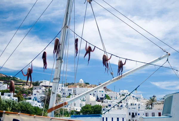 Squid Torkning Båt Mykonos Grekland — Stockfoto