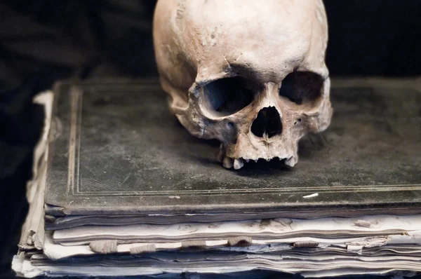 Crânio em um livro antigo — Fotografia de Stock