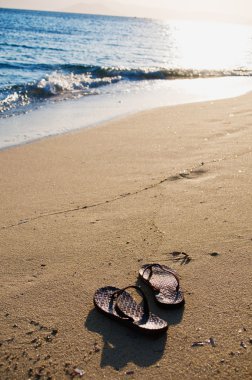 Pair of Flip Flops on sandy Beach clipart