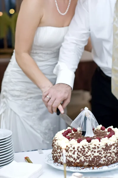 新娘和新郎一起切割自己的婚礼蛋糕 — 图库照片