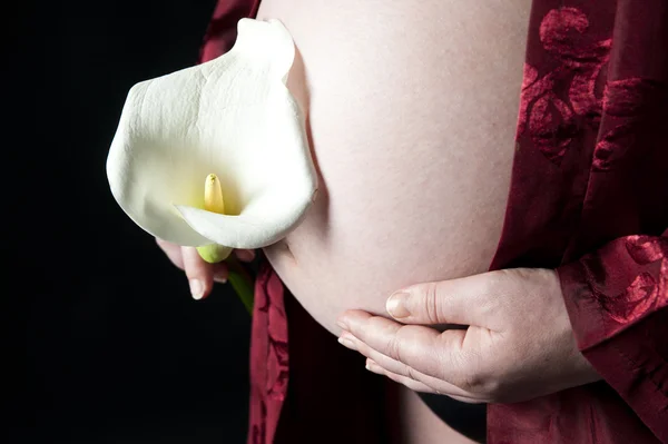 Zwangere Vrouw Een Calla Lelie Houden Aan Haar Maag — Stockfoto