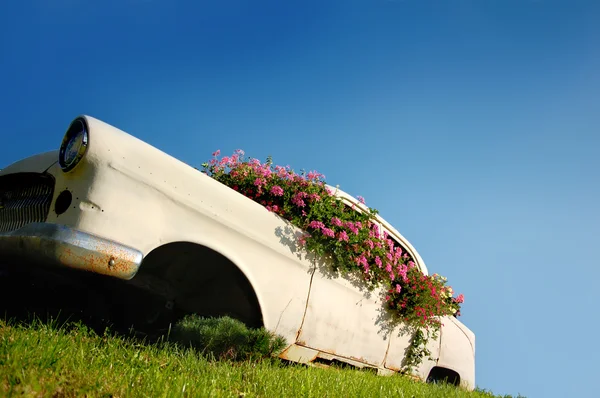 Экологичный автомобиль — стоковое фото