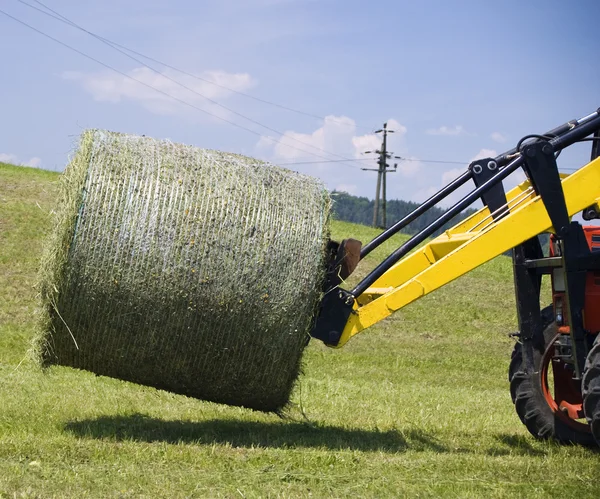 Working with a Hay Bale — Stock Photo, Image