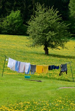 Clothesline in a Spring Field clipart