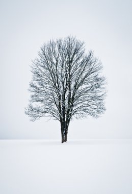 huzurlu kış sahne