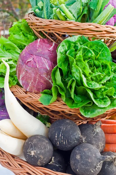Basket Full Colorful Vegetables — Stock Photo, Image