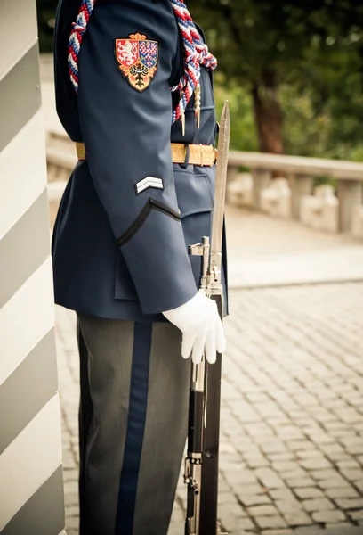 Guard with Rifle — Stock Photo, Image