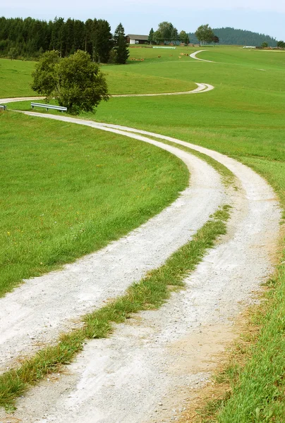 Кривая сельская дорога — стоковое фото