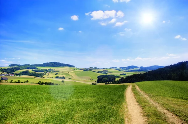 Дорога в австрийском пейзаже — стоковое фото