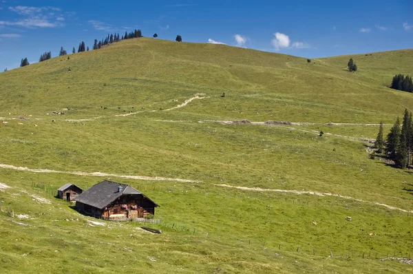 Rakouský pastviny — Stock fotografie