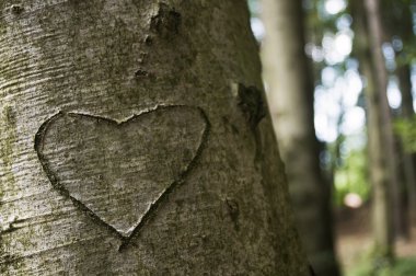 Love Carved on a Tree clipart