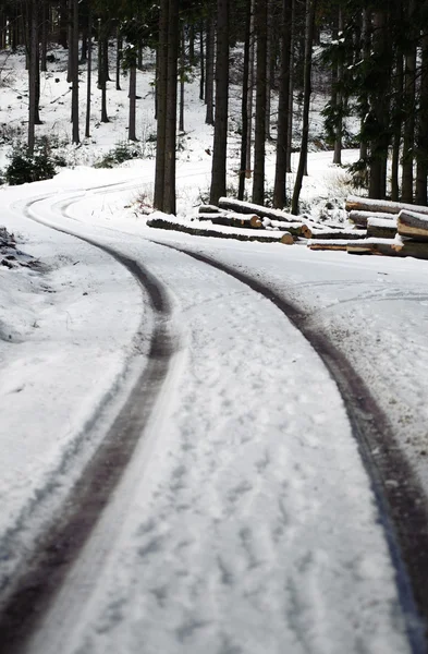 Estrada sinuosa em uma floresta de inverno — Fotografia de Stock